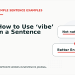 How to Use ‘vibe’ in a Sentence
