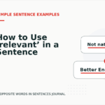 How to Use ‘relevant’ in a Sentence