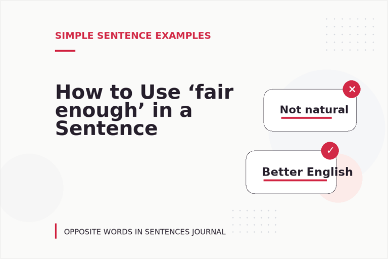 How to Use ‘fair enough’ in a Sentence