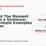 At The Moment in a Sentence: Simple Examples for Learners