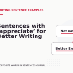 Sentences with ‘appreciate’ for Better Writing